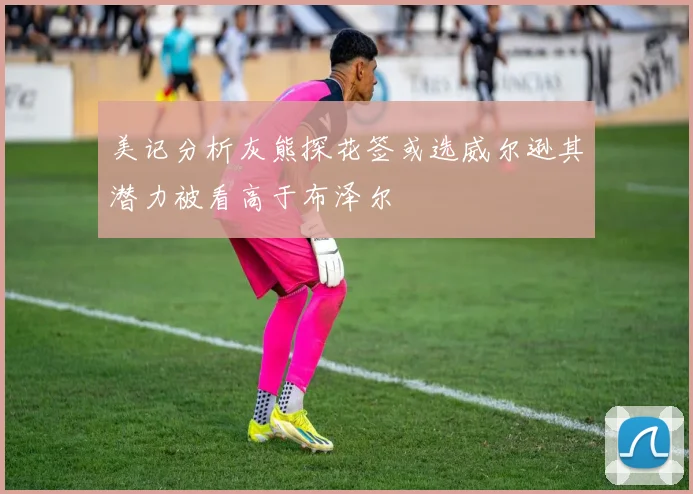美记分析灰熊探花签或选威尔逊其潜力被看高于布泽尔